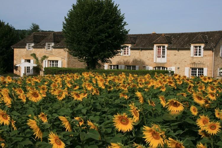 Domaine Des Hirondelles Saint-Vincent-de-Cosse Quarto foto